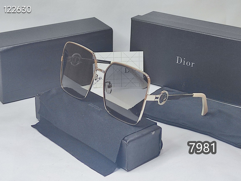 Dior Glasses xh  (12)